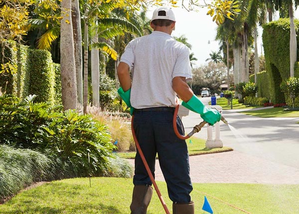 About Belmont TX Pest Control Pros